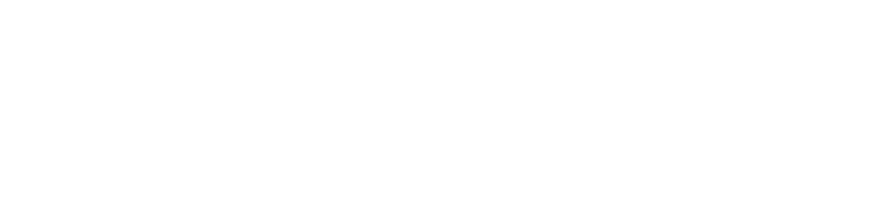 New Bi'Es